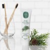 Паста за зъби с Натурален Екстракт от Бор Toothpaste  90мл. Eyup Sabri Tuncer